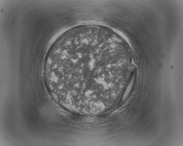 X0000081611279200702121605