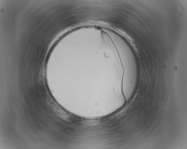 X0000081611280200702121605