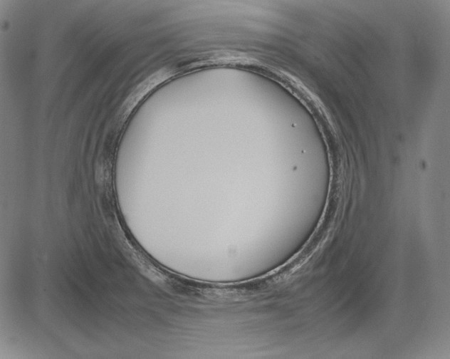 X0000081611281200702121605