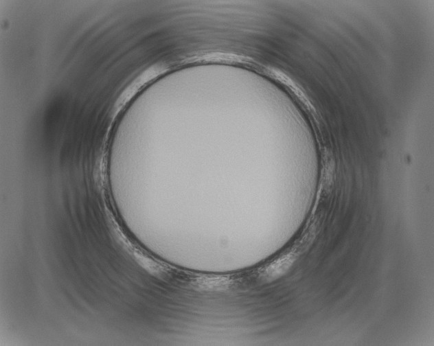 X0000081611282200702121605