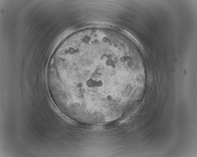 X0000081611283200702121605