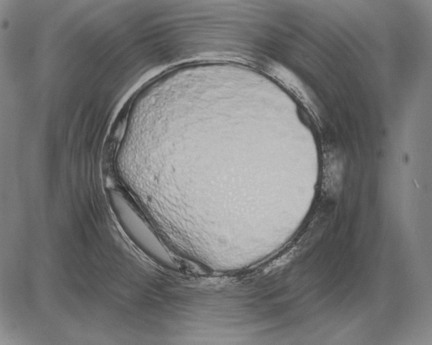 X0000081611284200702121605