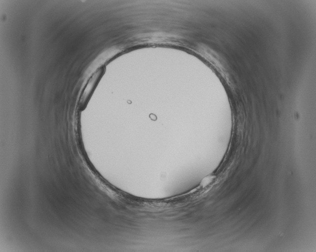 X0000081611285200702121605