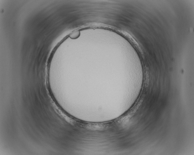 X0000081611286200702121605