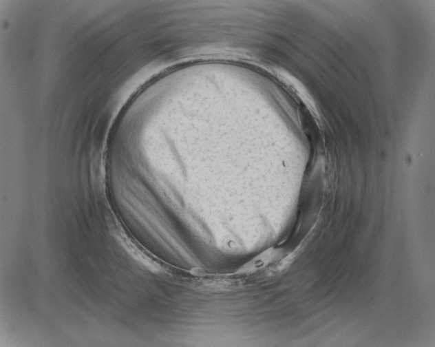 X0000081611288200702121605