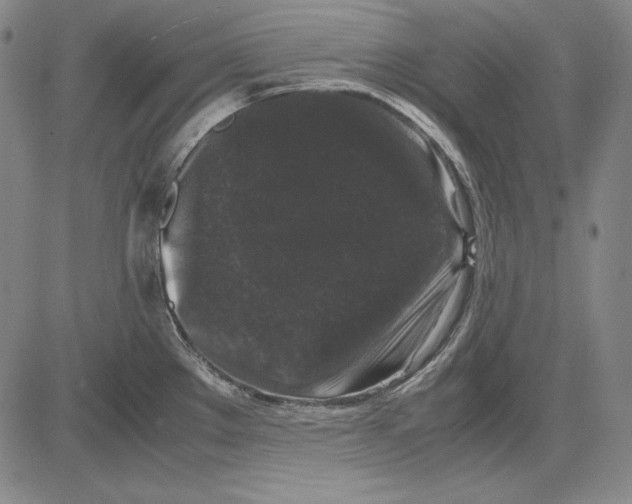 X0000081611289200702121605