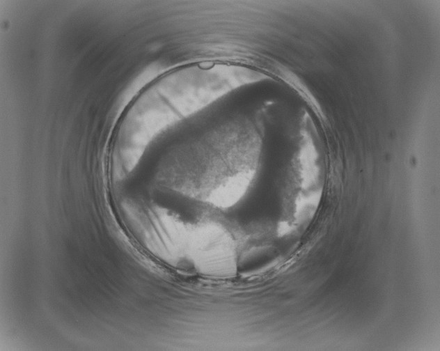 X0000081611291200702121605