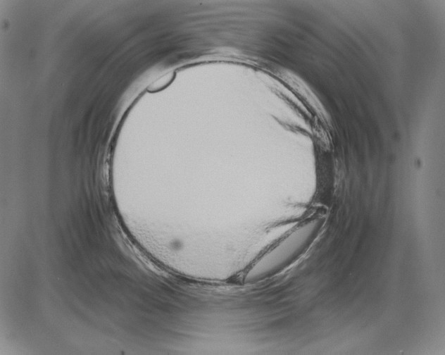 X0000081611292200702121605