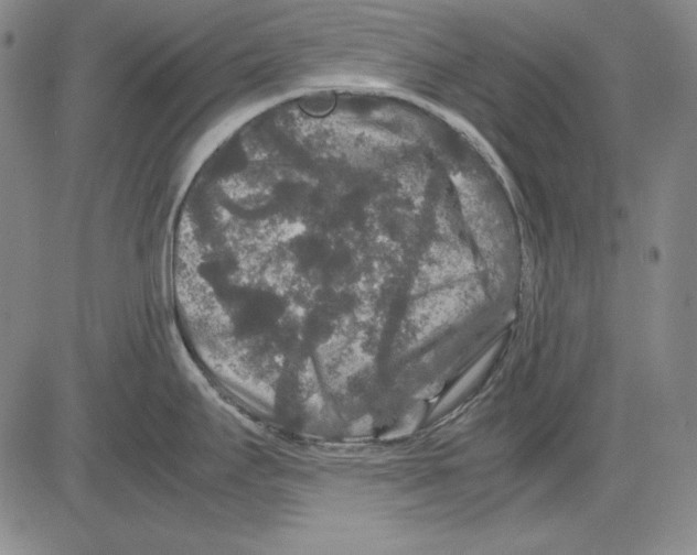 X0000081611295200702121605