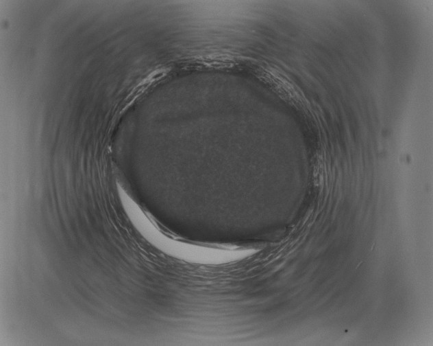 X0000081611298200702121604