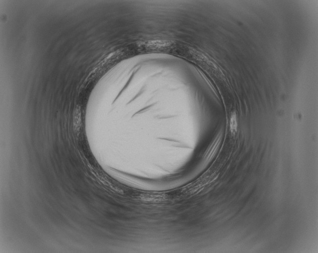 X0000081611299200702121604