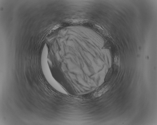 X0000081611300200702121604