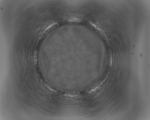 X0000081611301200702121604