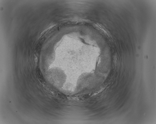 X0000081611302200702121604