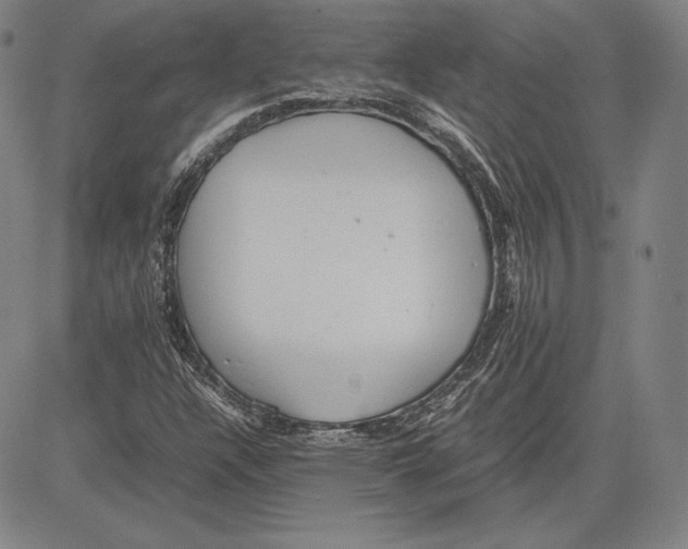 X0000081611304200702121604