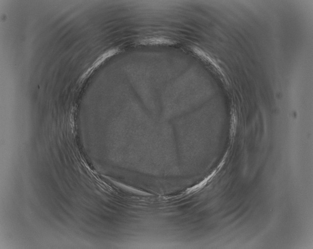 X0000081611305200702121604