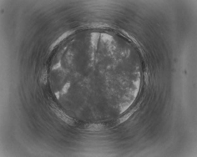 X0000081611306200702121604