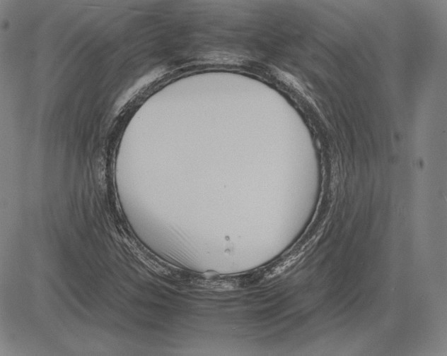 X0000081611307200702121604