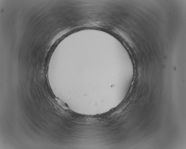 X0000081611308200702121605