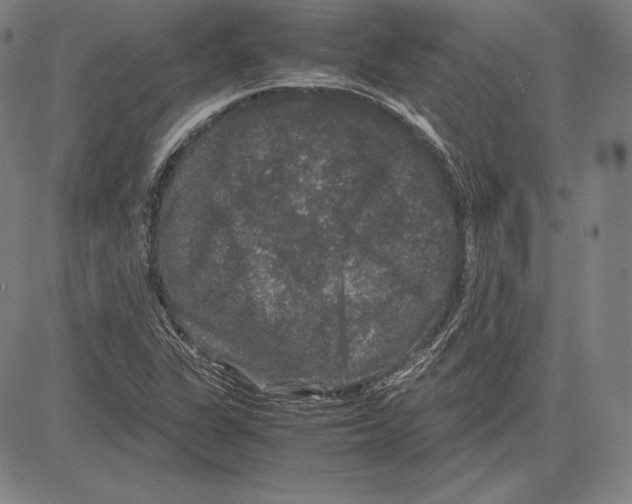 X0000081611311200702121605