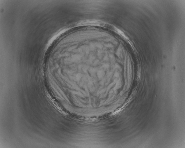 X0000081611312200702121605