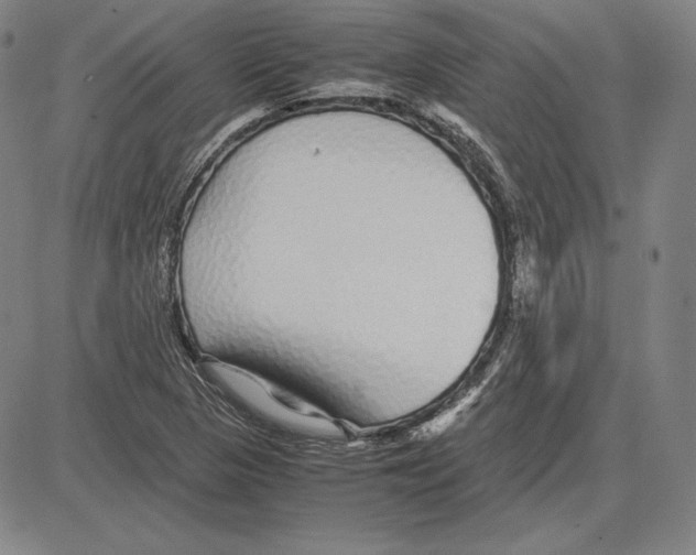 X0000081611313200702121605