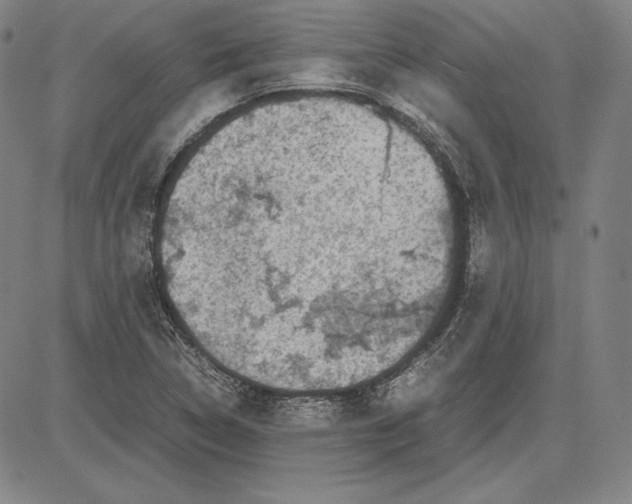 X0000081611314200702121605