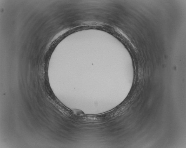 X0000081611315200702121605