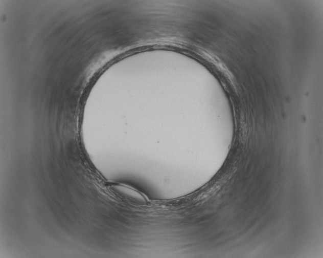 X0000081611316200702121605