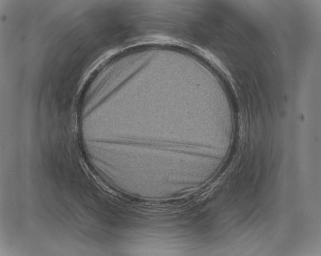 X0000081611318200702121605