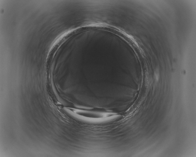 X0000081611319200702121605