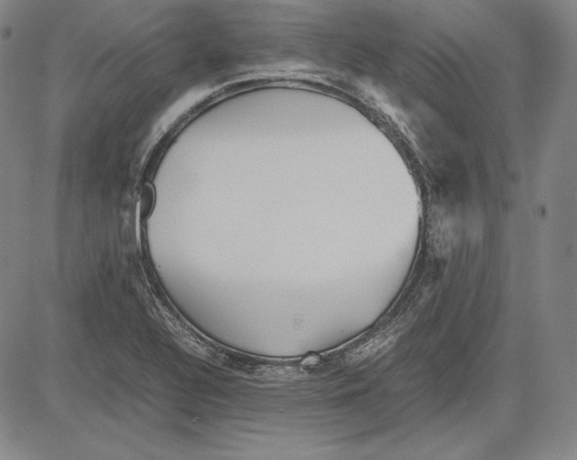 X0000081611320200702121605