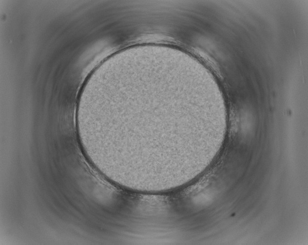 X0000081611322200702121605