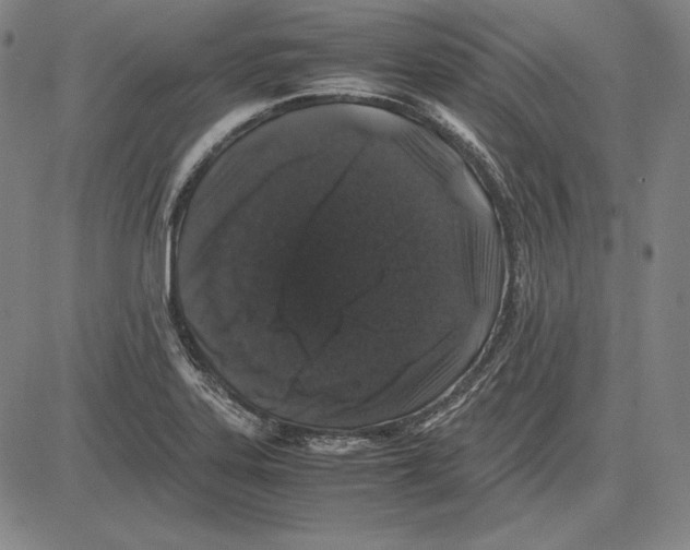 X0000081611323200702121605