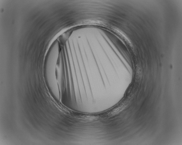 X0000081611324200702121605