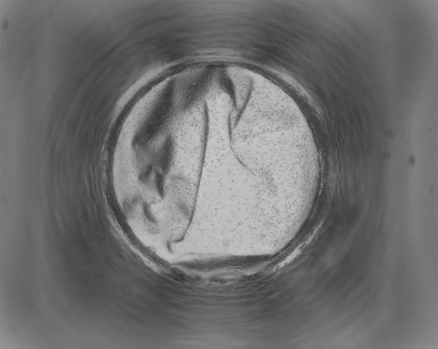 X0000081611325200702121605