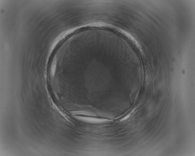 X0000081611327200702121605