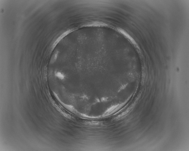 X0000081611329200702121605