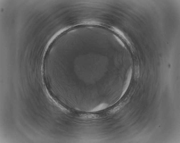 X0000081611331200702121605