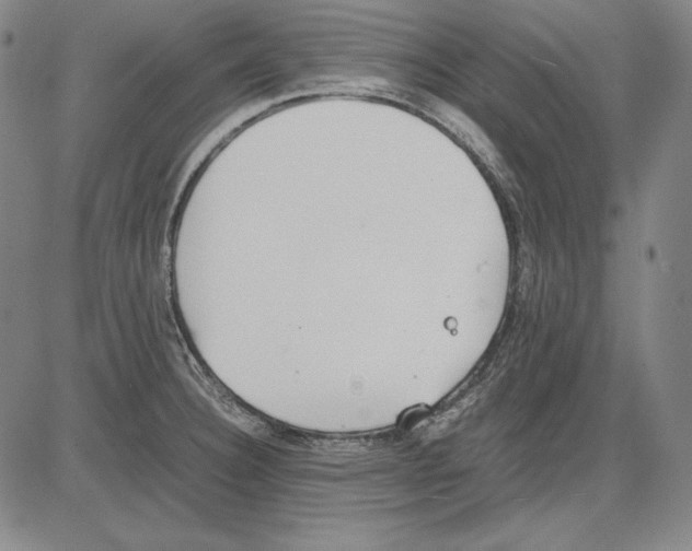 X0000081611332200702121605