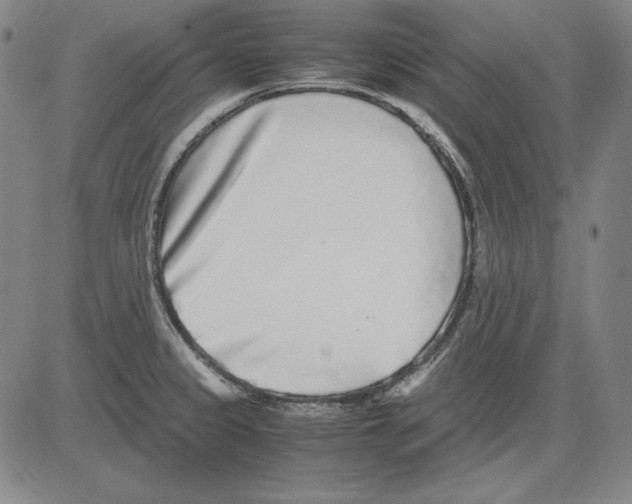 X0000081611333200702121605