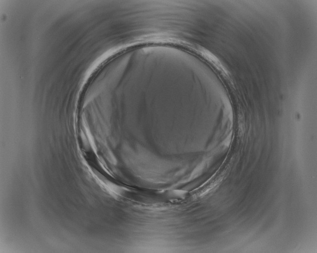 X0000081611334200702121605