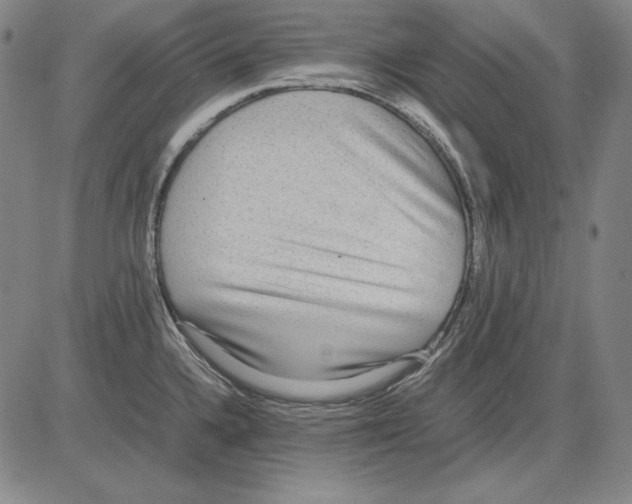 X0000081611336200702121605