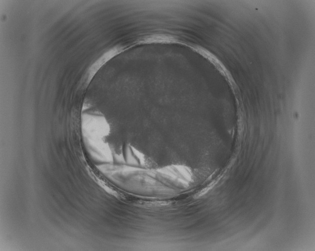 X0000081611337200702121605