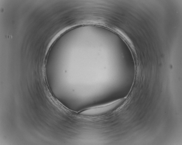 X0000081611340200702121605