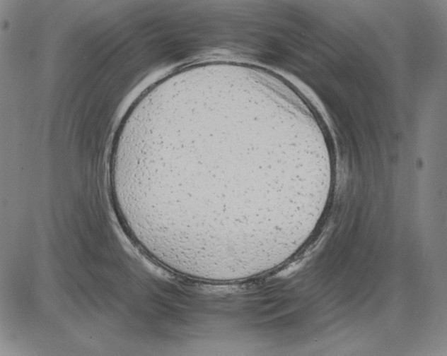 X0000081611341200702121605