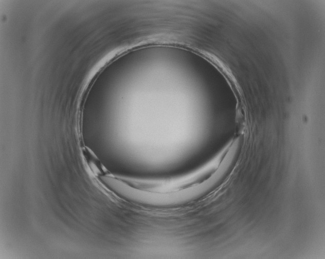 X0000081611342200702121605