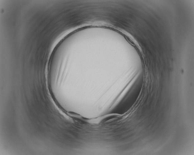 X0000081611343200702121605