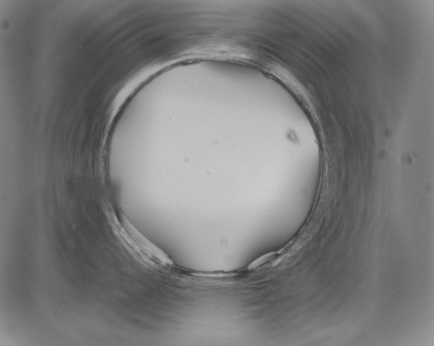 X0000081611344200702121605