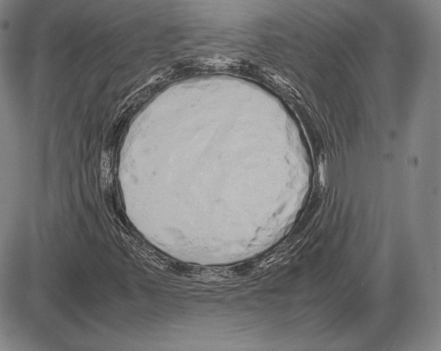 X0000081611347200702121604